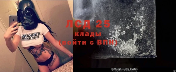гашик Вязьма