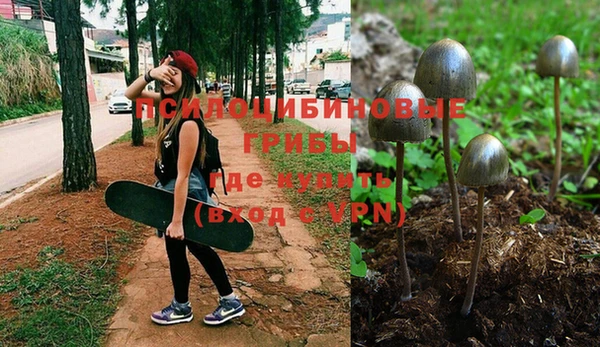 спайс Горняк
