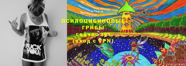 спайс Горняк