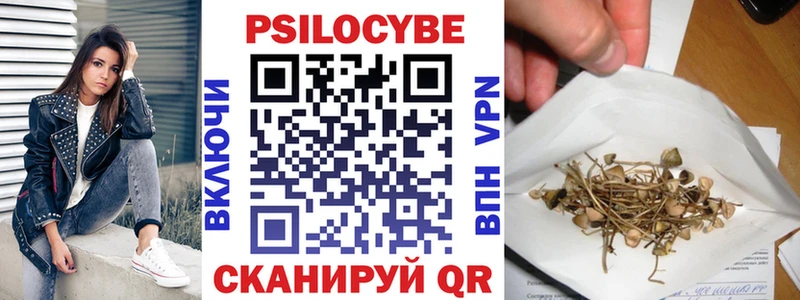 Псилоцибиновые грибы мухоморы купить наркотик kraken рабочий сайт Змеиногорск