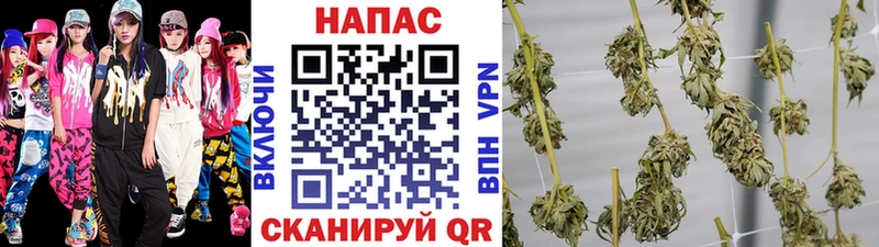 Бошки марихуана гибрид  Змеиногорск 